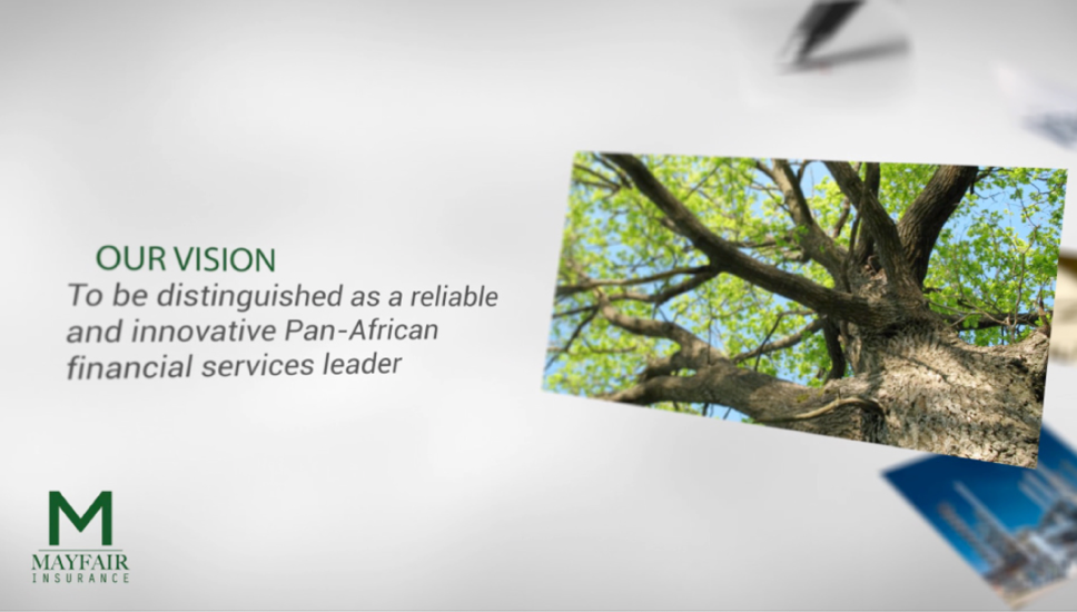 Our Vision