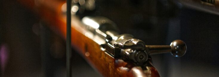 Firearm Insurance