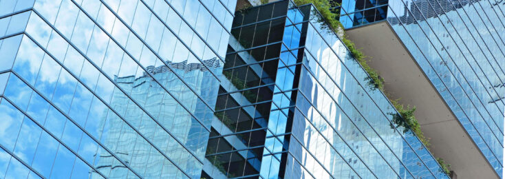 Plate Glass